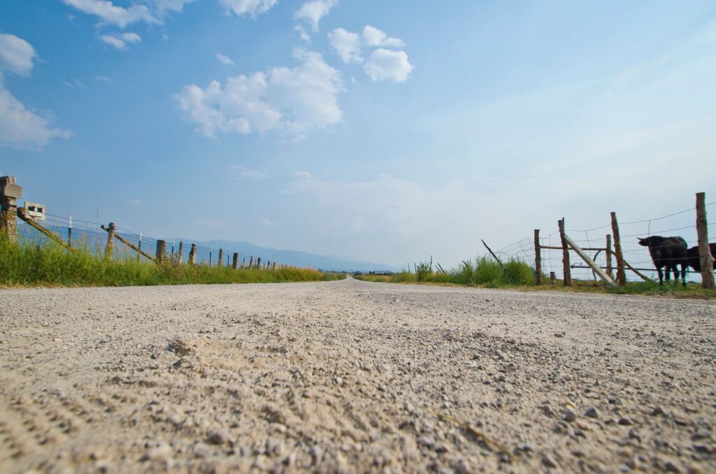 Looking down the long soft dirt road path